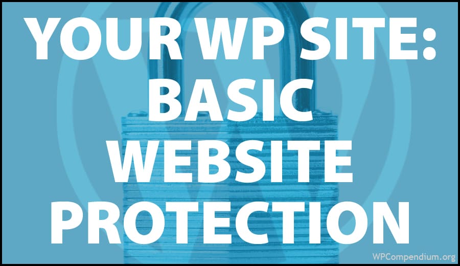 Basic Website Protection