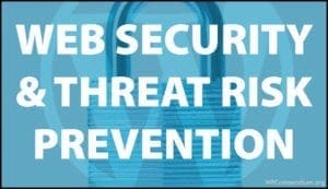 Web Security And Threat Risk Prevention