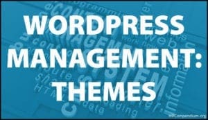 WordPress Theme Management